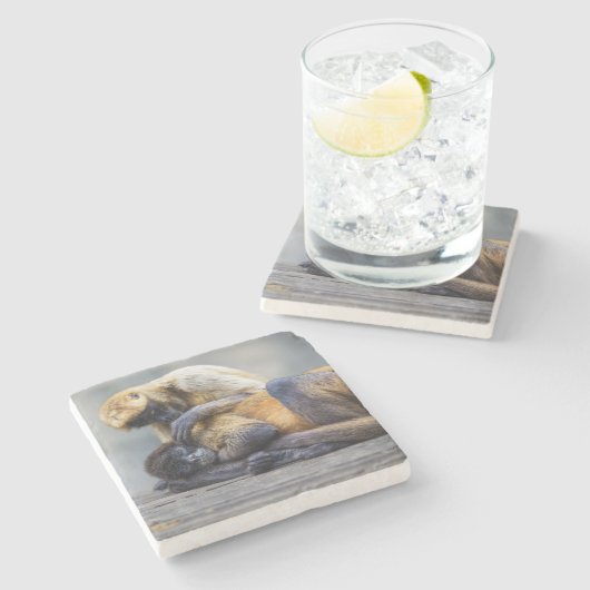 Onderzetter van apen (Zijkant)