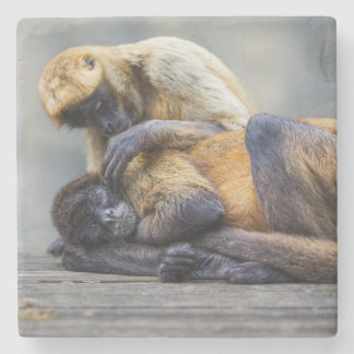 Onderzetter van apen