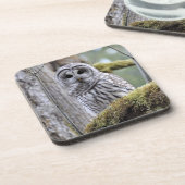 Onderzetter van Barred Owl (Linkerzijde)