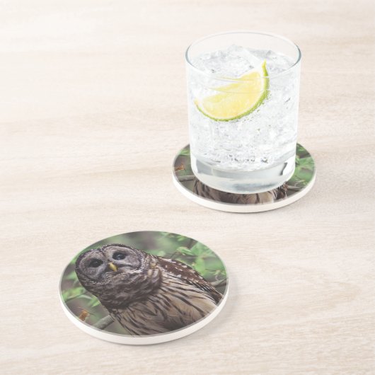 Onderzetter van Barred Owl (Zijkant)