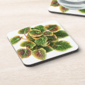 onderzetter van bladplastic (Linkerzijde)