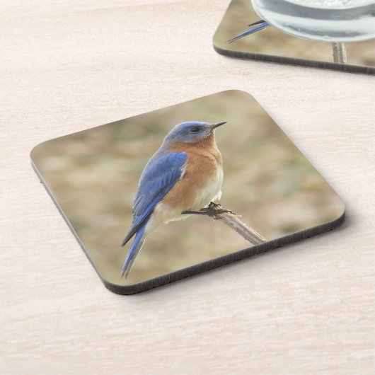 Onderzetter van blauwvogel (Linkerzijde)