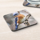 Onderzetter van blauwvogel (Linkerzijde)