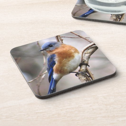 Onderzetter van blauwvogel (Linkerzijde)