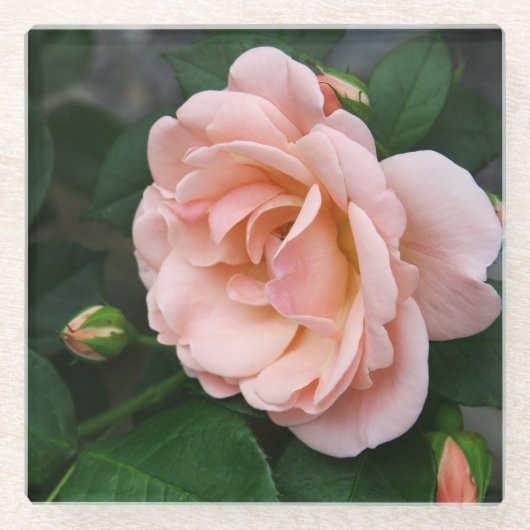 Onderzetter van Blush Roos Floral Glass (Voorkant)