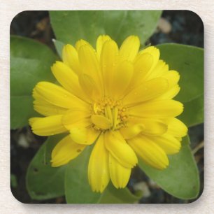 Onderzetter van Bright Gele Marigold Cork