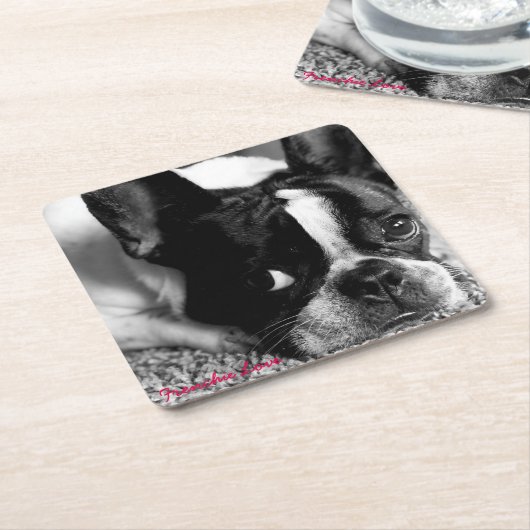 Onderzetter van Bulldog (Schuin)