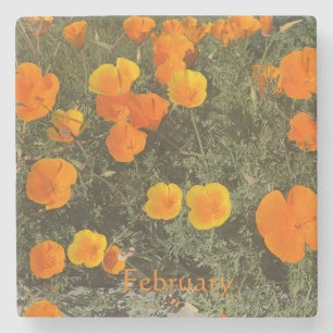 ONDERZETTER VAN CALIFORNIË: ONDERZETTER VAN JANUAR