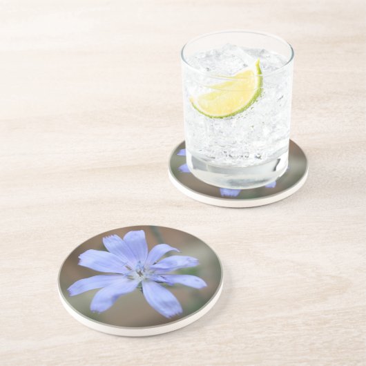 Onderzetter van cichorei (Zijkant)