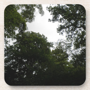 Onderzetter van Creepy Forest Cork