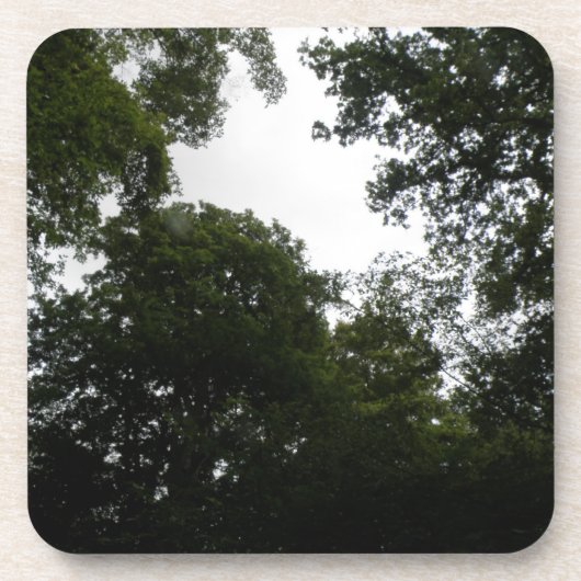 Onderzetter van Creepy Forest Cork (Voorkant)