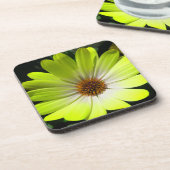 Onderzetter van de Afrikaanse Daisy Fluorescent Ye (Linkerzijde)