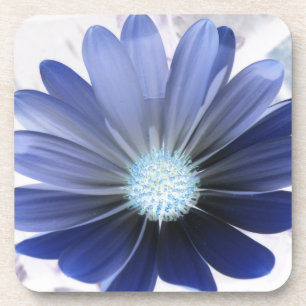 Onderzetter van de Afrikaanse Daisy Ggloing Blue C