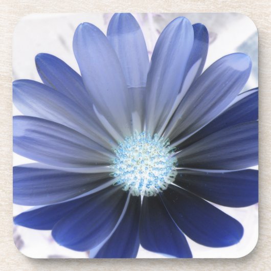 Onderzetter van de Afrikaanse Daisy Ggloing Blue C (Voorkant)