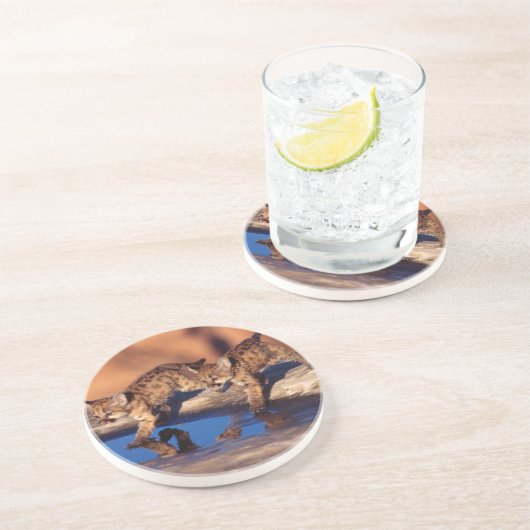 Onderzetter van de berglionkubben (Zijkant)