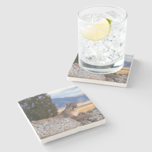 Onderzetter van de bergsteensteen (Zijkant)