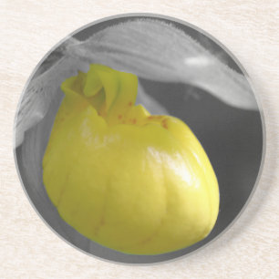 Onderzetter van de Gele Dame Slipper Floral