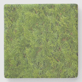 Onderzetter van de groene Cedar Limbs Square (Voorkant)