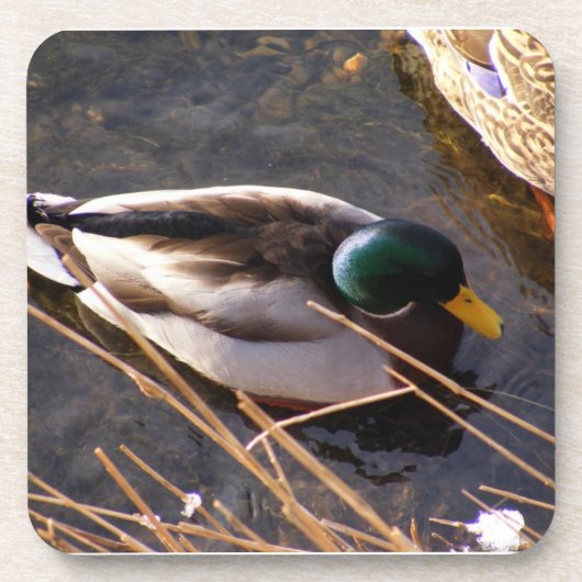 Onderzetter van de Hout Duck Cork (Voorkant)