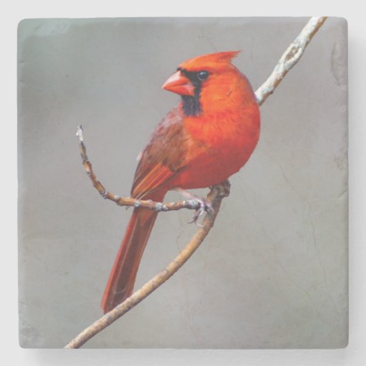 Onderzetter van de kardinaalsteen (Voorkant)