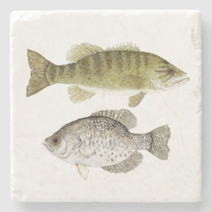 Onderzetter van de Korte Massa en van de Crappie