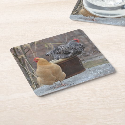 Onderzetter van de Partij van de Kippen (Schuin)