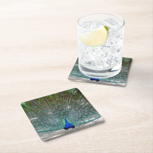 Onderzetter van de Peacock-partij (Insitu)