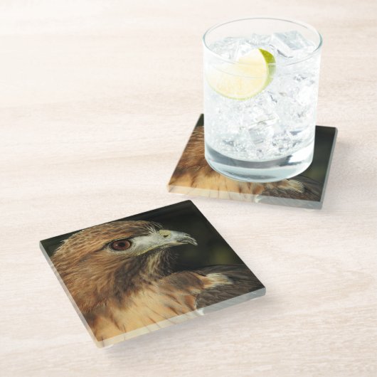 Onderzetter van de Rode Tailed Hawk Glass (Schuin)