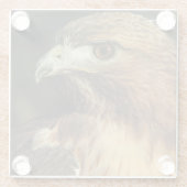 Onderzetter van de Rode Tailed Hawk Glass (Achterkant)