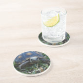 Onderzetter van de rode-voetschildpad (Zijkant)