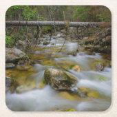 Onderzetter van de rotswieg (Voorkant)