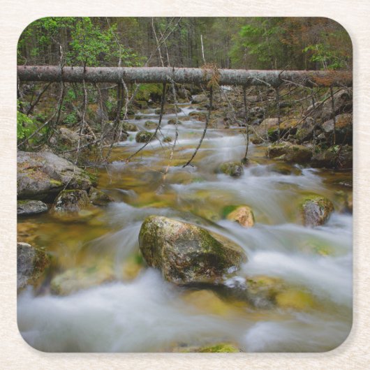 Onderzetter van de rotswieg (Voorkant)