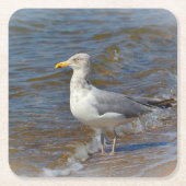 Onderzetter van de Seagull Party (Voorkant)