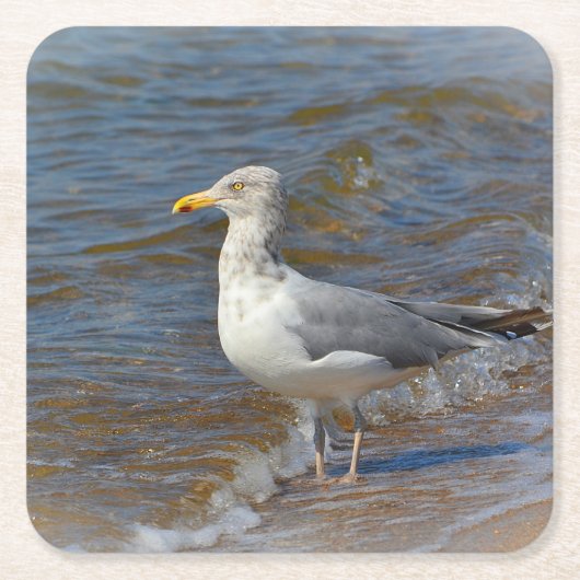 Onderzetter van de Seagull Party (Voorkant)