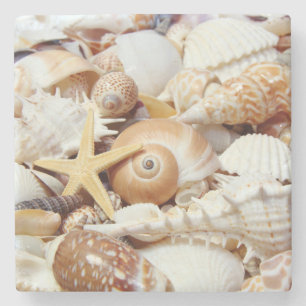 Onderzetter van de Seashells Stone