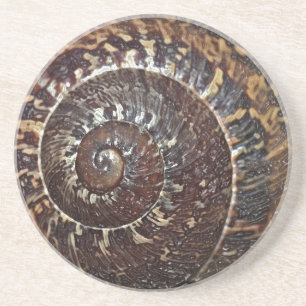 Onderzetter van de slak Shell