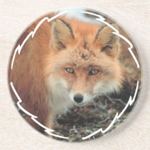 Onderzetter van de soort "Fox Species"