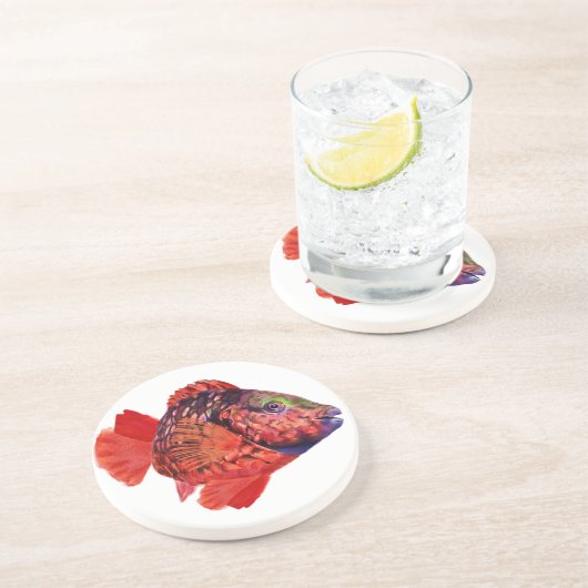 Onderzetter van de soort Parrotfish (Zijkant)