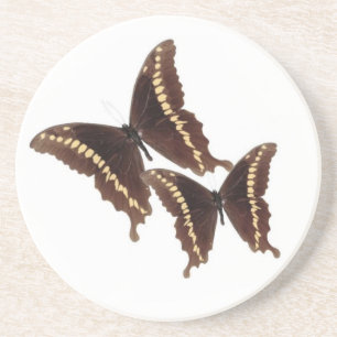 Onderzetter van de vlinder