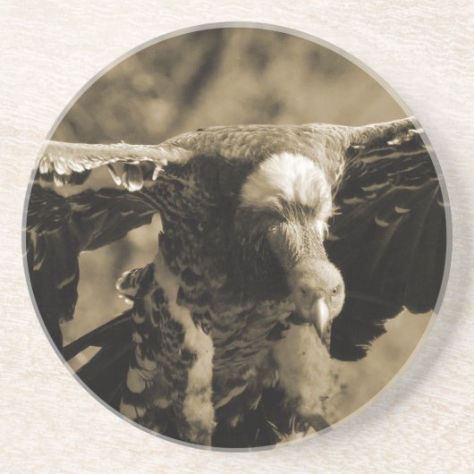 Onderzetter van de wijnbouw (Voorkant)