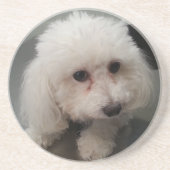 onderzetter van dierentuin (Voorkant)