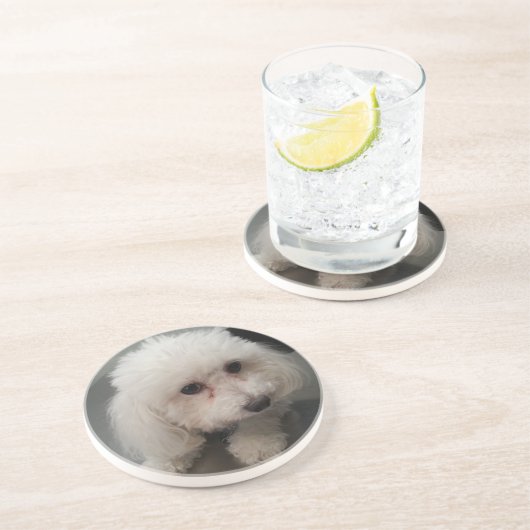 onderzetter van dierentuin (Zijkant)