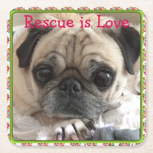 Onderzetter van drink met Itsy Pug: Redding is lie (Voorkant)