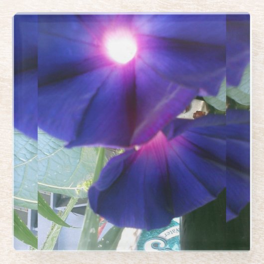 Onderzetter van Floral Glass (Voorkant)