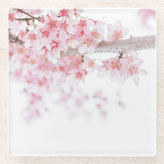 ONDERZETTER van GLAS: CHERRY BLOSSOM (Voorkant)