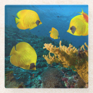 Onderzetter van glas — Tropische vis Glazen Onderzetter