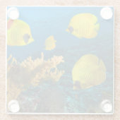 Onderzetter van glas — Tropische vis Glazen Onderzetter (Achterkant)