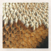 Onderzetter van glas - Zonnebloempitten Glazen Onderzetter (Voorkant)