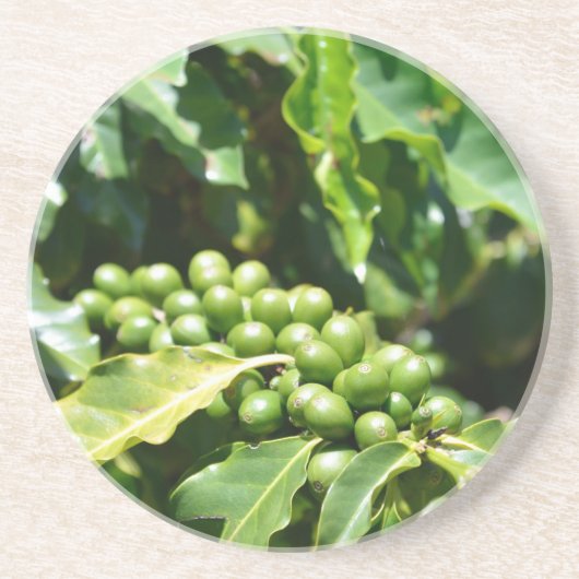 Onderzetter van groene koffiebessen Sandsteen (Voorkant)