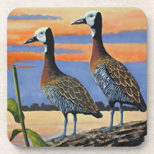 Onderzetter van harde kunststof (Voorkant)